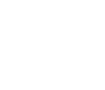 united nations logo